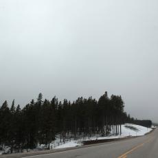 Yellowstone National Park