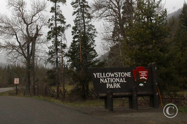 Yellowstone - East entrance