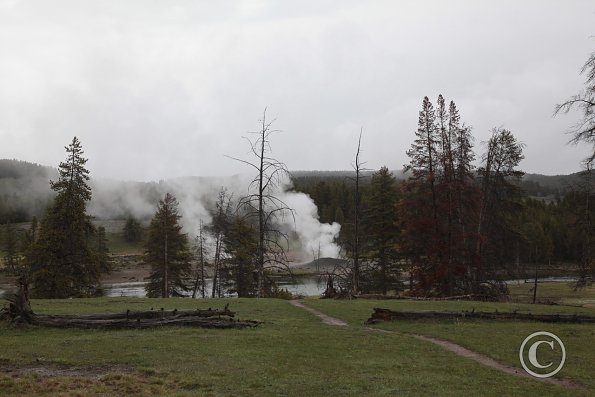 Yellowstone - East entrance
