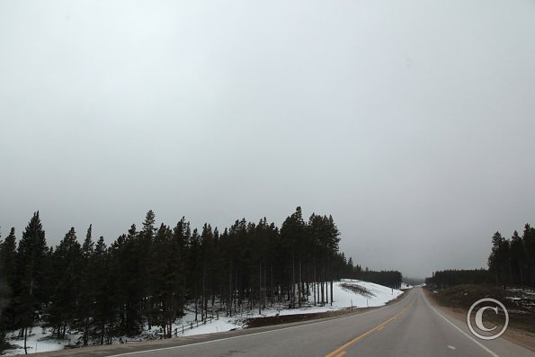 Yellowstone National Park