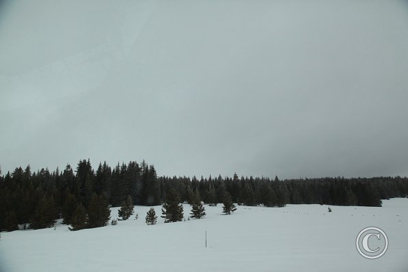 Yellowstone National Park