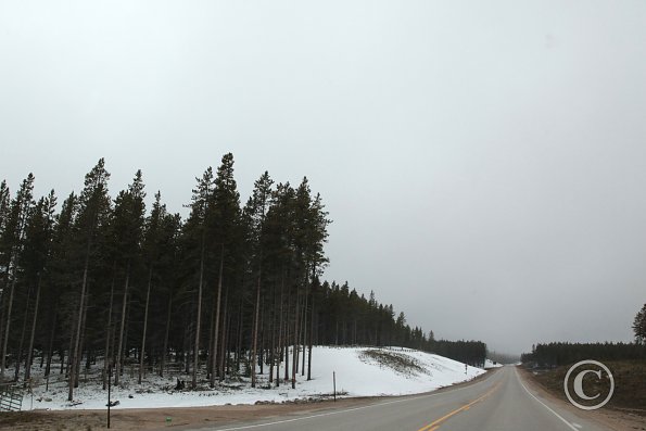 Yellowstone National Park