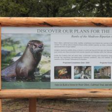 Yellowstone Wolf and Grizzly Center