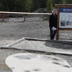 Yellowstone Wolf and Grizzly Center