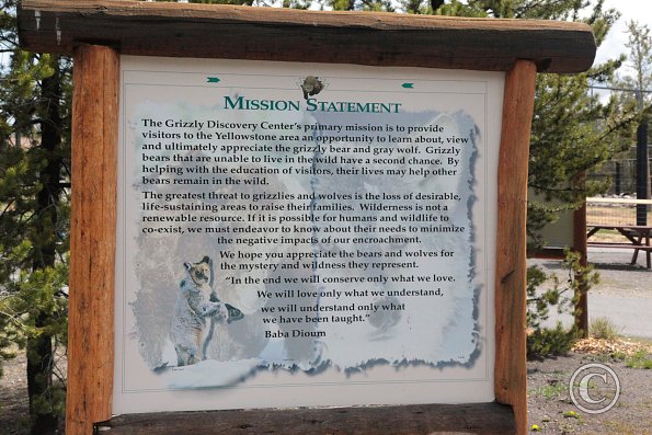 Yellowstone Wolf and Grizzly Center