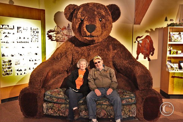 Yellowstone Wolf and Grizzly Center