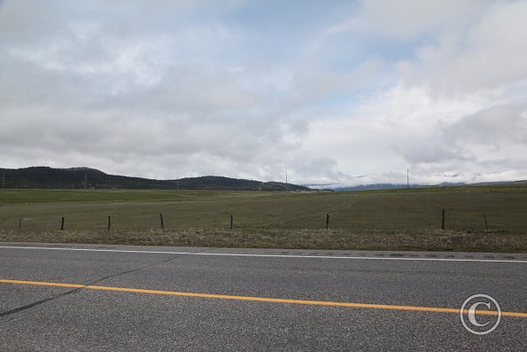 Yellowstone Wolf and Grizzly Center