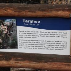 Yellowstone Wolf and Grizzly Center