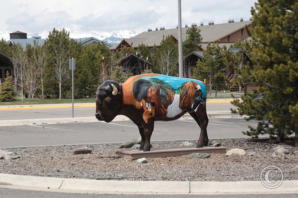 Yellowstone Wolf and Grizzly Center