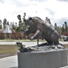 Yellowstone Wolf and Grizzly Center