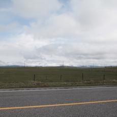 Yellowstone Wolf and Grizzly Center