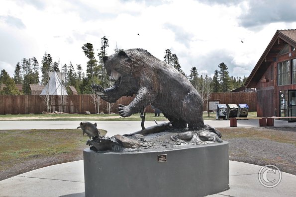 Yellowstone Wolf and Grizzly Center