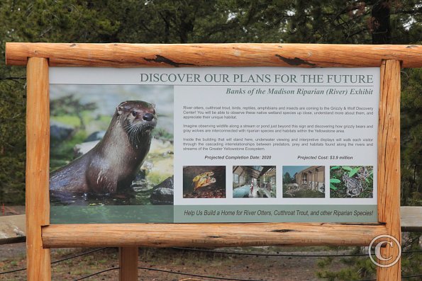 Yellowstone Wolf and Grizzly Center