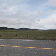 Yellowstone Wolf and Grizzly Center