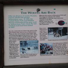 Yellowstone Wolf and Grizzly Center