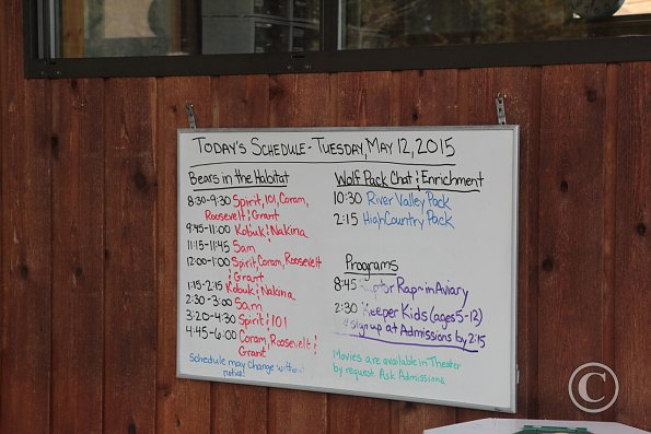 Yellowstone Wolf and Grizzly Center