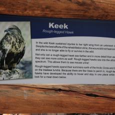 Yellowstone Wolf and Grizzly Center