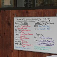 Yellowstone Wolf and Grizzly Center