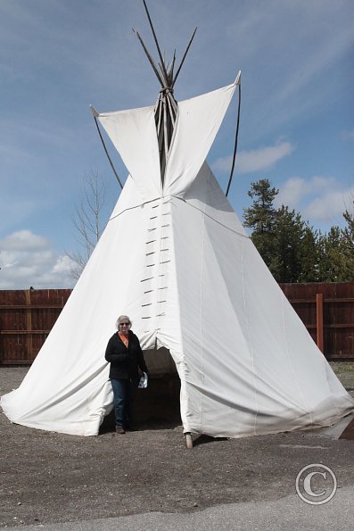 Yellowstone Wolf and Grizzly Center