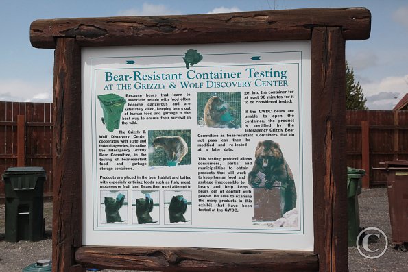 Yellowstone Wolf and Grizzly Center