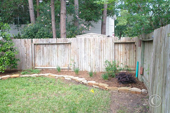 Back yard - after