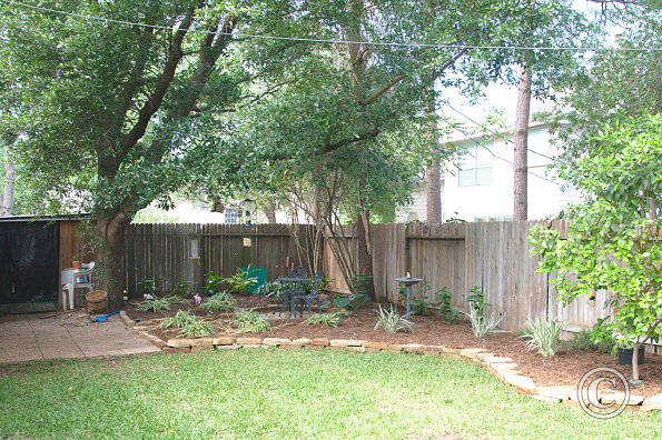 Back yard - after