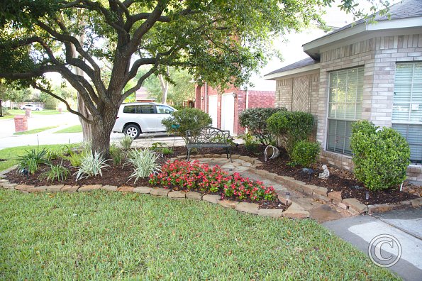 Front yard after
