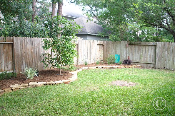 Back yard - after