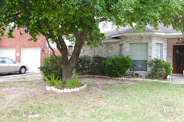 Front yard - before