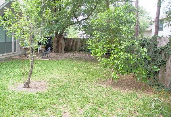 Back yard - before
