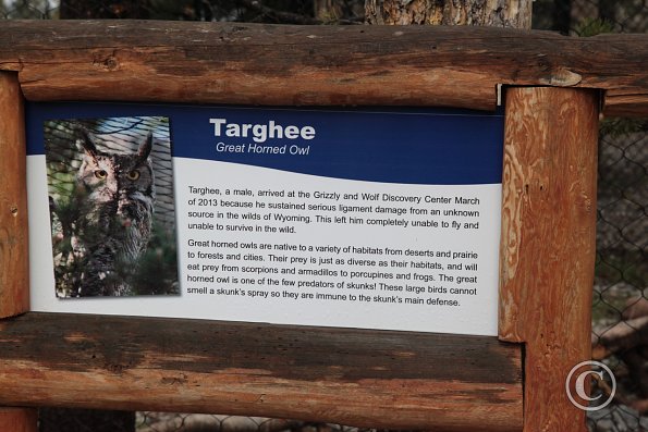 Yellowstone Wolf and Grizzly Center