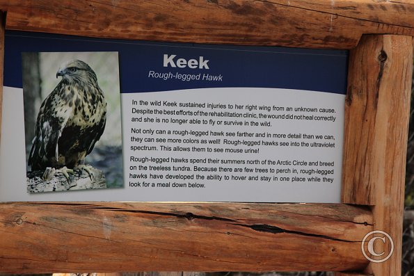 Yellowstone Wolf and Grizzly Center