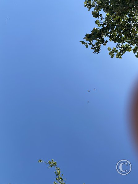 20200510-1418-000